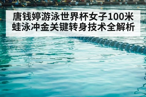 swimming pool competition lanes